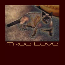 TRUE LOVE Tops & Tees t-shirts by RavenSpiritPrints TRUE LOVE Tops & Tees t-shirts