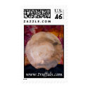 Truffuls Woodturning Stamps by truffuls Truffuls Woodturning Stamps