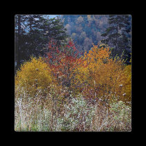 Truly Skie untain Autumn magnets
