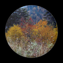 Truly Skie untain Autumn magnets