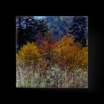 Truly Smokie Mountain Autumn buttons