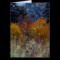 Truly Smokie Mountain Autumn cards