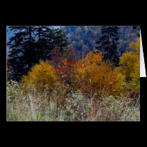 Truly Smokie Mountain Autumn cards