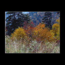 Truly Smokie Mountain Autumn postcards