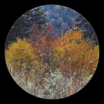 Truly Smokie Mountain Autumn stickers