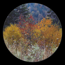 Truly Smokie Mountain Autumn stickers