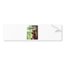 Truman in kitchen window bumper stickers