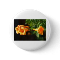 trumpet buttons