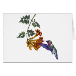 0 - A Ruby Throated Hummingbird hovers before a Trumpeter Creeper drink its nectar.
Customize this hummingbird merchandise to make it one of a kind. Create a special gift for yourself or special friend or family member. Just click 