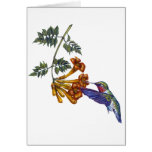 0 - A Ruby Throated Hummingbird hovers before a Trumpeter Creeper drink its nectar.
Customize this hummingbird merchandise to make it one of a kind. Create a special gift for yourself or special friend or family member. Just click 