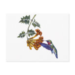 0 - A Ruby Throated Hummingbird hovers before a Trumpeter Creeper drink its nectar.
Customize this hummingbird merchandise to make it one of a kind. Create a special gift for yourself or special friend or family member. Just click 