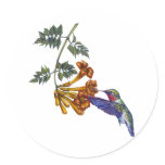 round_sticker - A Ruby Throated Hummingbird hovers before a Trumpeter Creeper drink its nectar.
Customize this hummingbird merchandise to make it one of a kind. Create a special gift for yourself or special friend or family member. Just click 