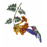 kids_basic_dark_tshirt - A Ruby Throated Hummingbird hovers before a Trumpeter Creeper drink its nectar.
Customize this hummingbird merchandise to make it one of a kind. Create a special gift for yourself or special friend or family member. Just click 