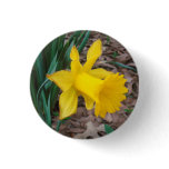 Trumpet Daffodil Button Small
