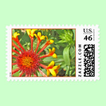 Trumpet Flower Stamp stamps