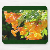Trumpet Flowers mousepads by Sepia673 Trumpet Flowers mousepads