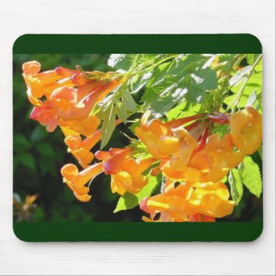 Trumpet Flowers Mousepad by Sepia673