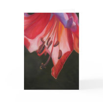 Trumpet Lily cards by janicelawrence Trumpet Lily cards