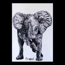 Trumpet posters