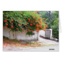 Trumpet Vine cards by Riviere Trumpet Vine cards