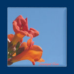 Trumpet Vine Flower Magnet magnets