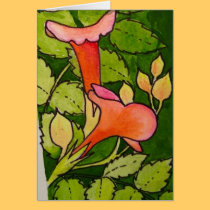 Trumpet Vine cards