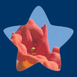 Trumpet Vine Star Sticker stickers