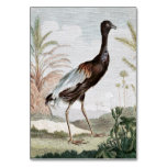 Trumpeter Bird Painting Table Card