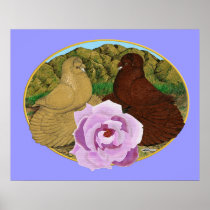Trumpeter Pigeons and Rose Poster