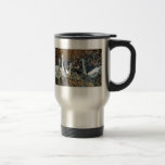 Trumpeter Swan Cygnets Mugs