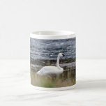 Trumpeter Swan Mug