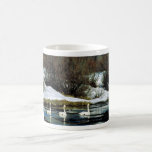 Trumpeter swan mugs