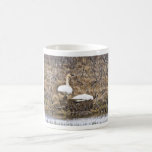 Trumpeter Swan Pair at Nest Coffee Mugs