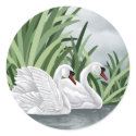 Trumpeter Swan Stickers by waterart Trumpeter Swan Stickers