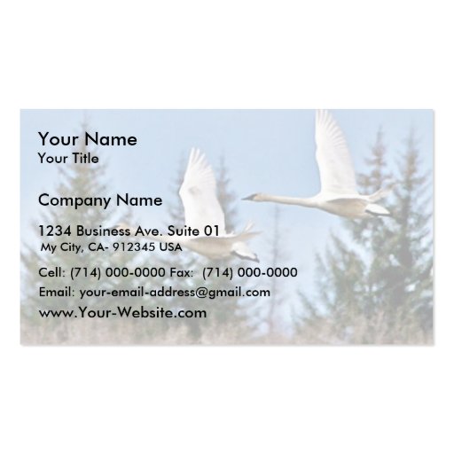 Trumpeter Swans in Flight Business Card (front side)