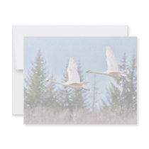 Trumpeter Swans in Flight invitations by animalpark Trumpeter Swans in Flight invitations