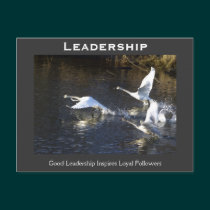 Trumpeter Swans Motivational Gifts postcards