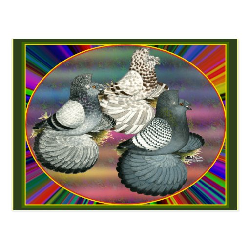 Trumpeters Three Postcards