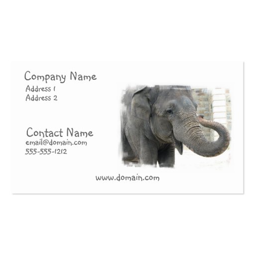 Trumpeting Elephant Business Card (front side)