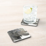 Trumpeting Elephant Cork Coasters