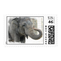 Trumpeting Elephant Postage Stamp