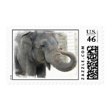 Trumpeting Elephant Postage Stamp
