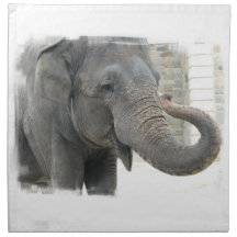 Trumpeting Elephant Set of Four Napkins