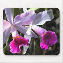 Trumpeting Purple Orchids mousepads by ElainePlesser Trumpeting Purple Orchids mousepads