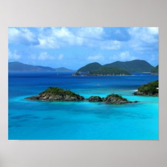 Trunk Bay Print