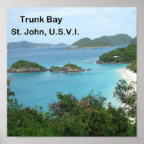 Trunk Bay Print