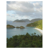 Trunk Bay, St John, USVI Flyers