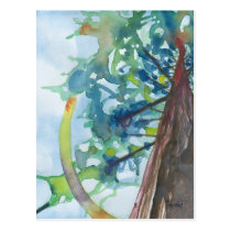 Trunk postcards