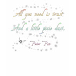Trust and Pixie Dust Sheer V-neck