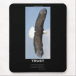 TRUST Bald Eagle Motivational